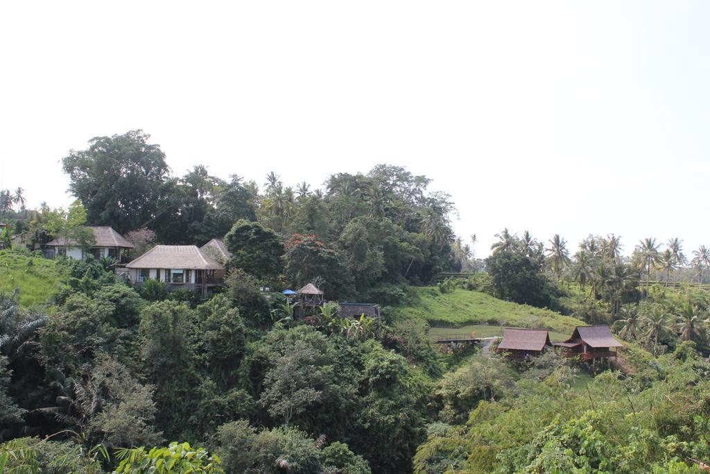 Amori Villas Ubud  Ngoại thất bức ảnh