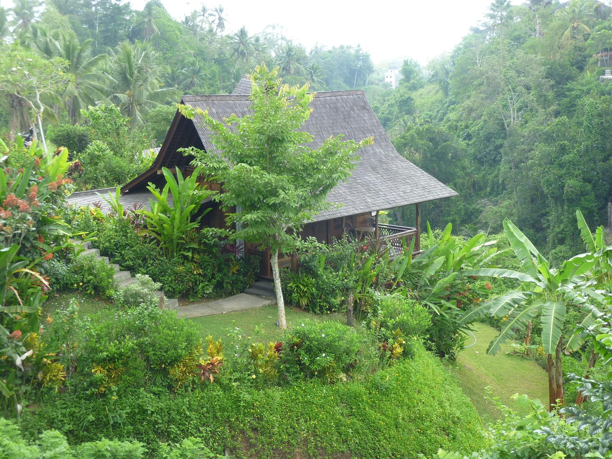 Amori Villas Ubud  Ngoại thất bức ảnh